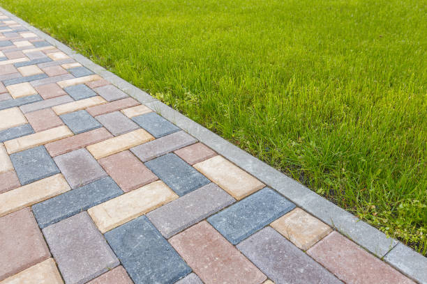 Best Driveway Paving Company  in New Johnsonville, TN